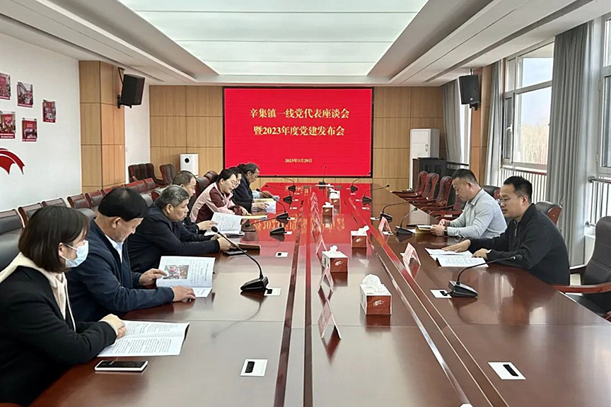 山东沂南辛集镇：“望闻问切”四维度助推党代表履职常态化